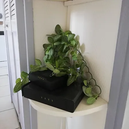 L'horizon Vue Et Falaises